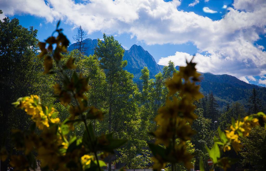 Kwatera Glowna Hotel - Zakopane, Zakopane